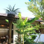 A lush semi-outdoor dining area with tropical plants and wooden chairs at Kuda Putih Pandawa Guesthouse in Bali.
