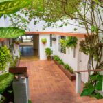 A shaded brick pathway surrounded by lush climbing plants and green potted flowers leading to the guest rooms at Kuda Putih Pandawa Guesthouse.