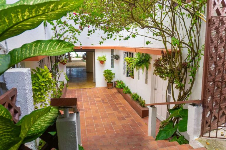 A shaded brick pathway surrounded by lush climbing plants and green potted flowers leading to the guest rooms at Kuda Putih Pandawa Guesthouse.